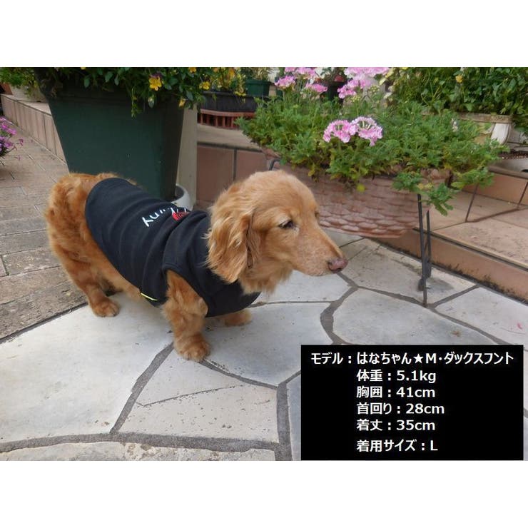 ペット用 犬用 洋服 | PlusNao | 詳細画像3 