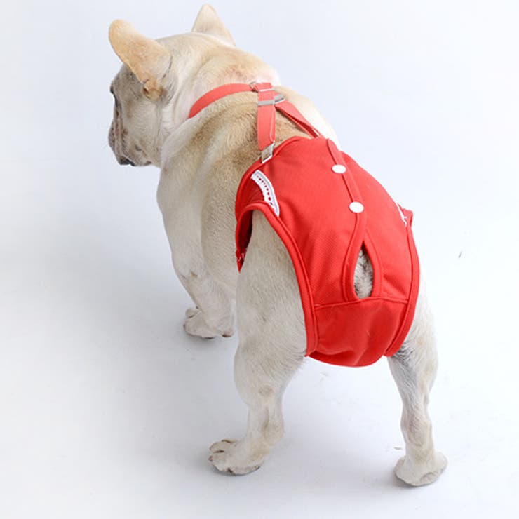 犬用サニタリーパンツ サスペンダー付き サニタリーショーツ | PlusNao | 詳細画像2 