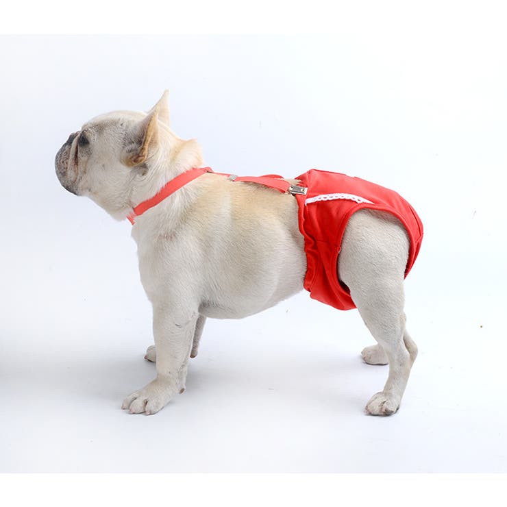 犬用サニタリーパンツ サスペンダー付き サニタリーショーツ | PlusNao | 詳細画像4 