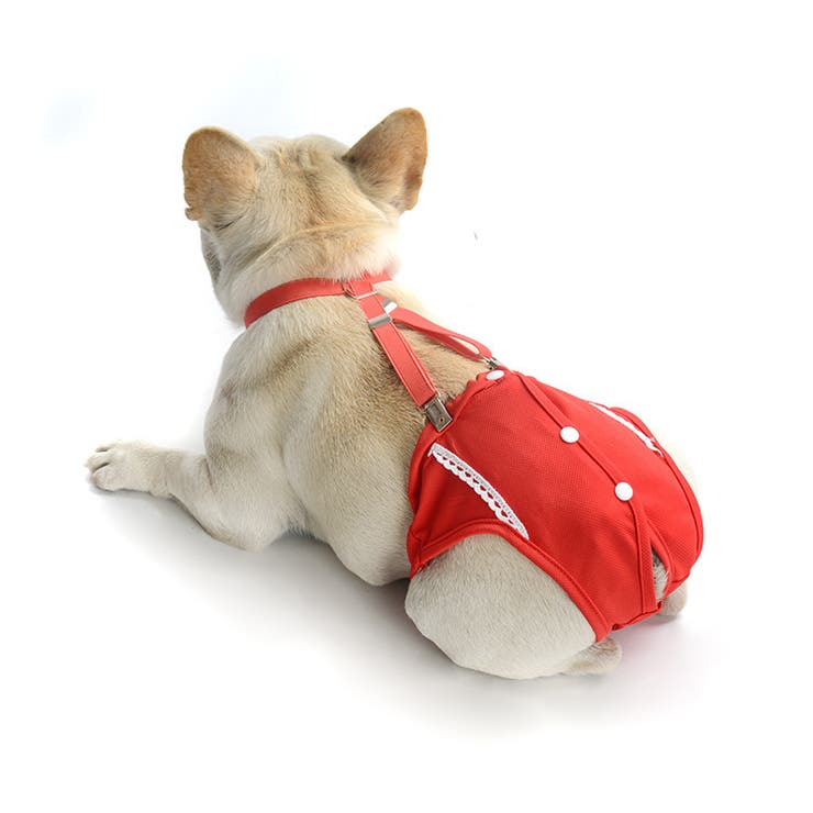 犬用サニタリーパンツ サスペンダー付き サニタリーショーツ | PlusNao | 詳細画像5 