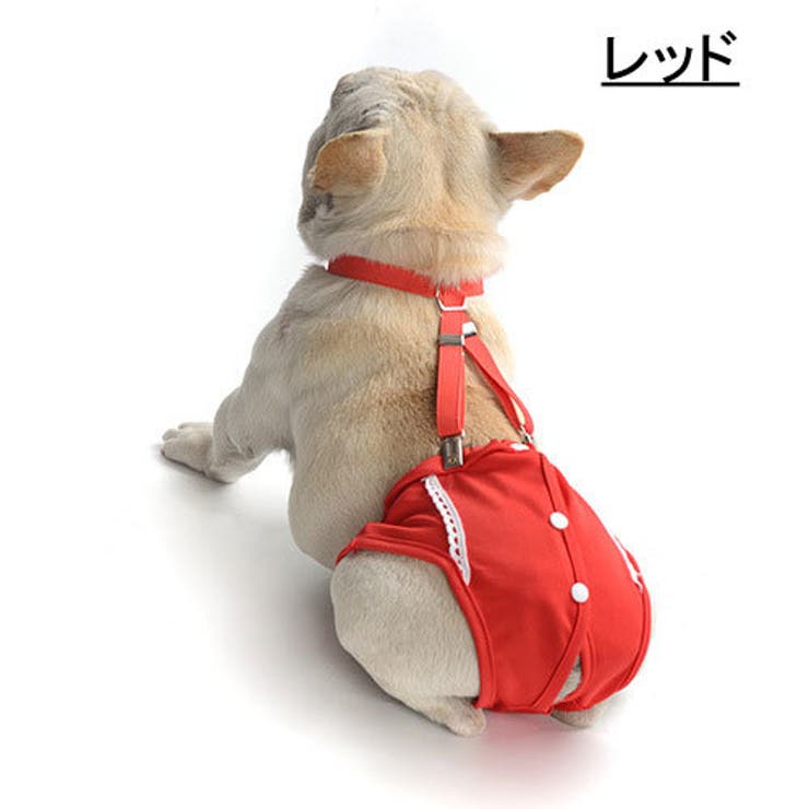 犬用サニタリーパンツ サスペンダー付き サニタリーショーツ | PlusNao | 詳細画像9 