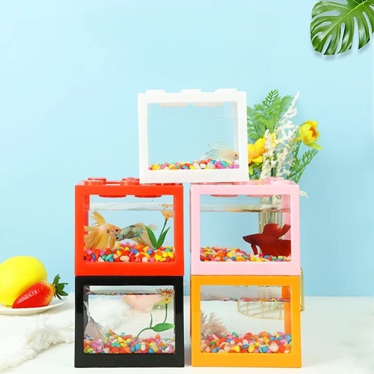 ミニ水槽 金魚水槽 単品 | PlusNao | 詳細画像2 