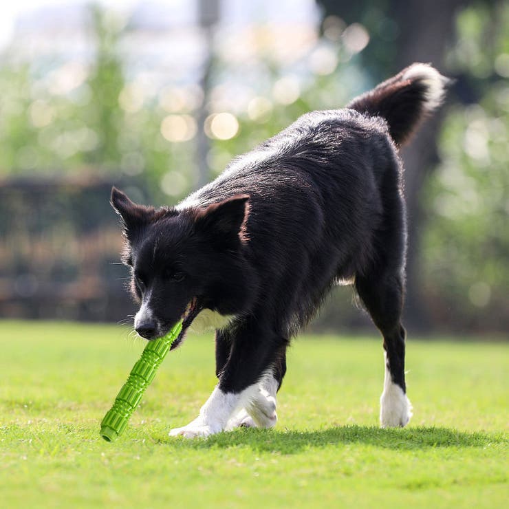 犬用おもちゃ 噛むオモチャ ラバートイ | PlusNao | 詳細画像2 