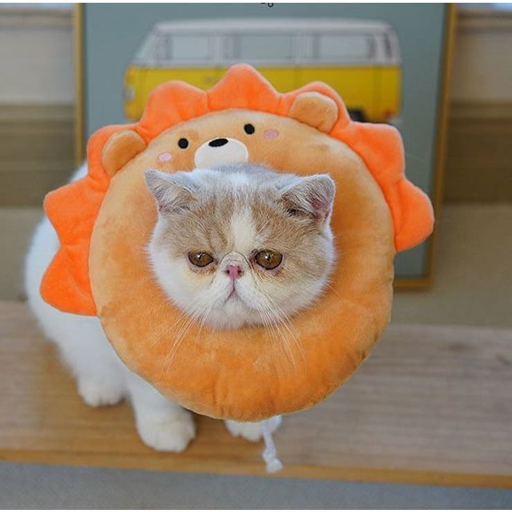 ソフトエリザベスカラー ペット用品 犬 | PlusNao | 詳細画像3 