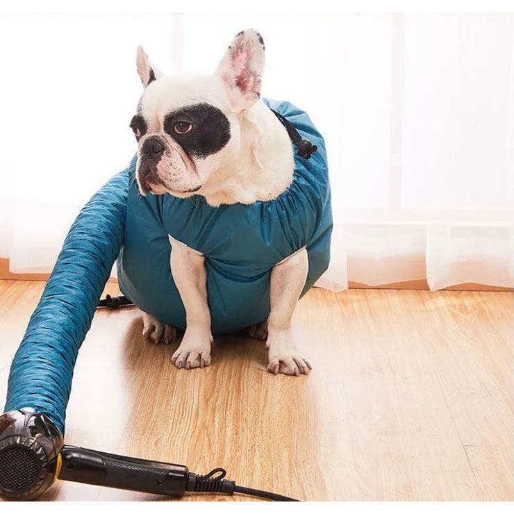ペット用ドライスーツ 乾燥ケース 乾燥袋 | PlusNao | 詳細画像4 