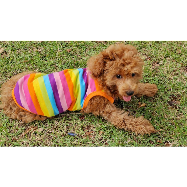 ペット用タンクトップ ペットウェア 犬服 | PlusNao | 詳細画像8 