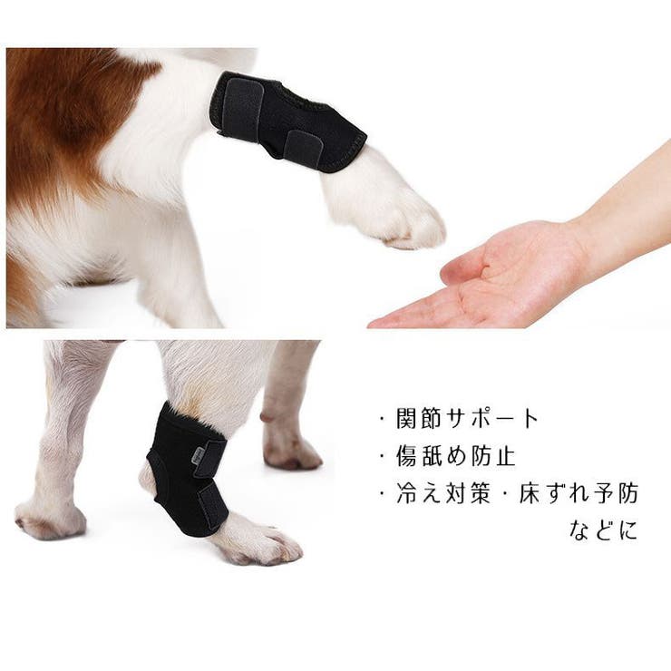 関節サポーター ペット用 犬 用 品番 Fq Plusnao プラスナオ のレディースファッション通販 Shoplist ショップリスト