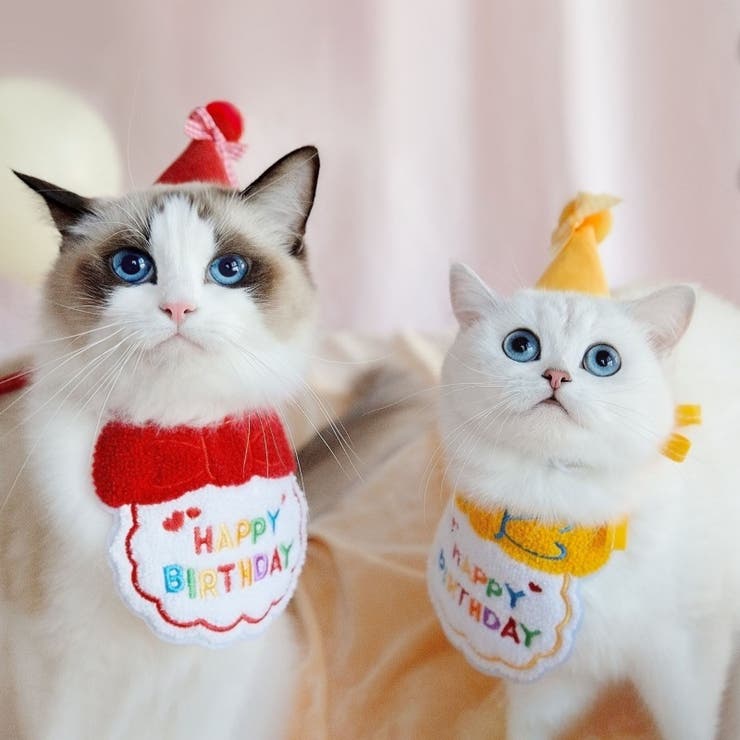 ペット 誕生日 スタイ | PlusNao | 詳細画像3 
