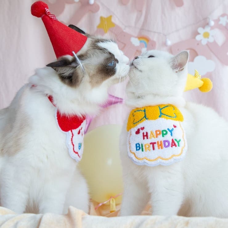 ペット 誕生日 スタイ | PlusNao | 詳細画像4 
