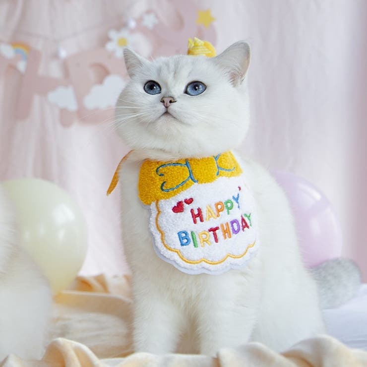 ペット 誕生日 スタイ | PlusNao | 詳細画像6 
