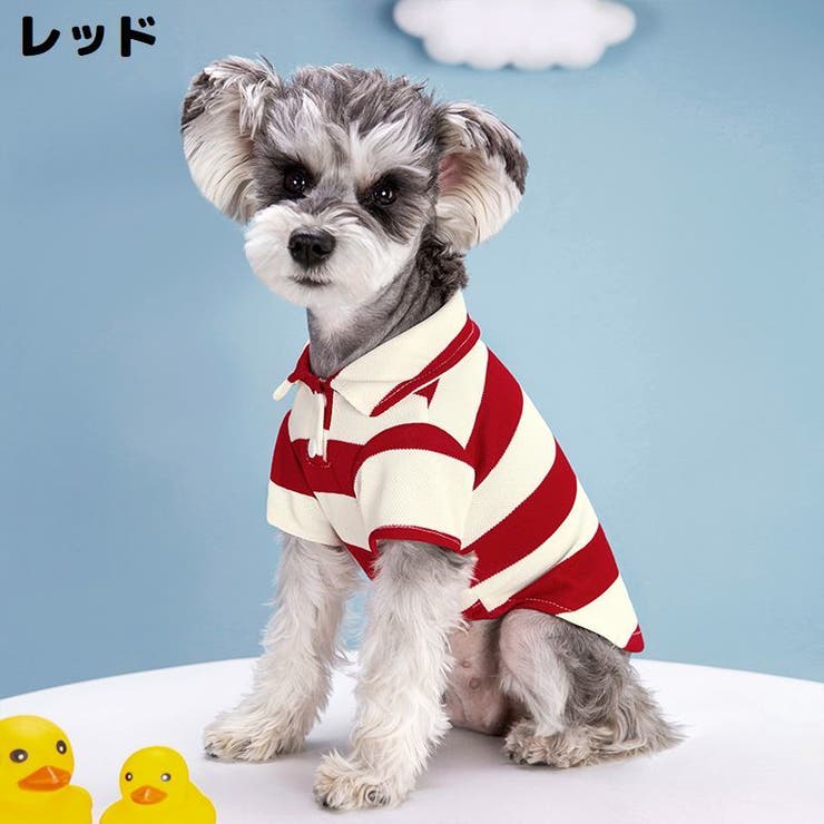ドッグウェア 犬服 ポロシャツ[品番：FQ000204199]｜PlusNao