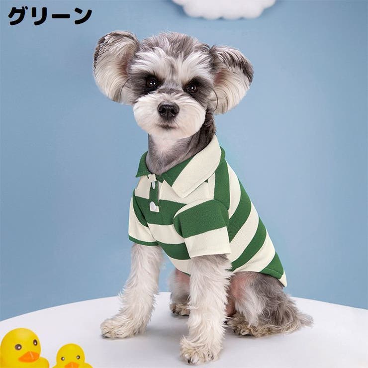 ドッグウェア 犬服 ポロシャツ[品番：FQ000204199]｜PlusNao