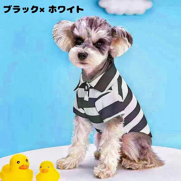 ドッグウェア 犬服 ポロシャツ[品番：FQ000204199]｜PlusNao