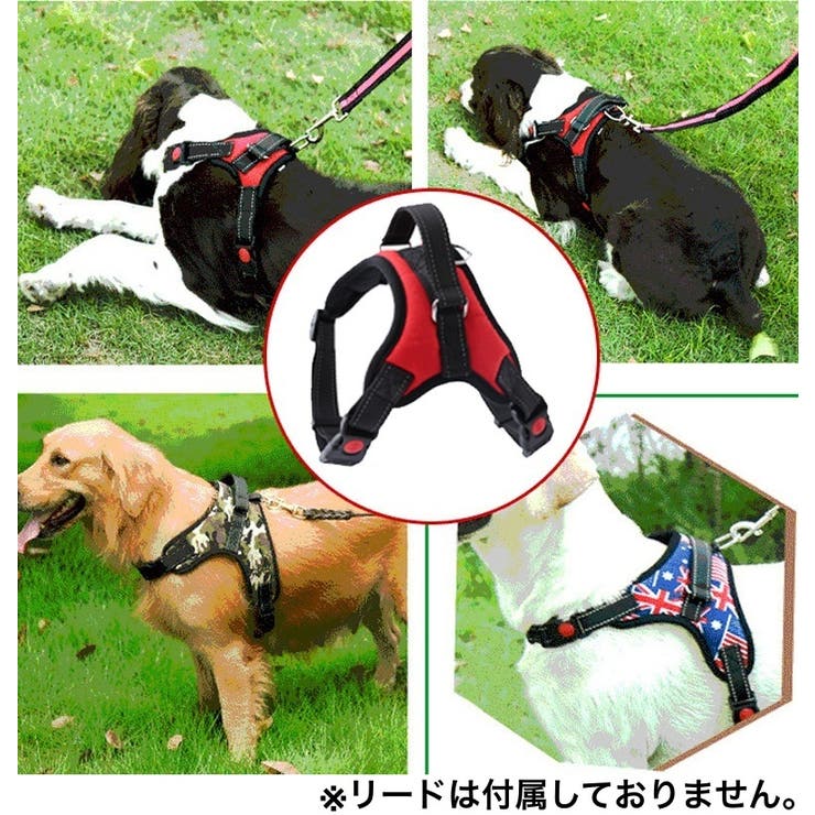 ハーネス 胴輪 単品 | PlusNao | 詳細画像2 