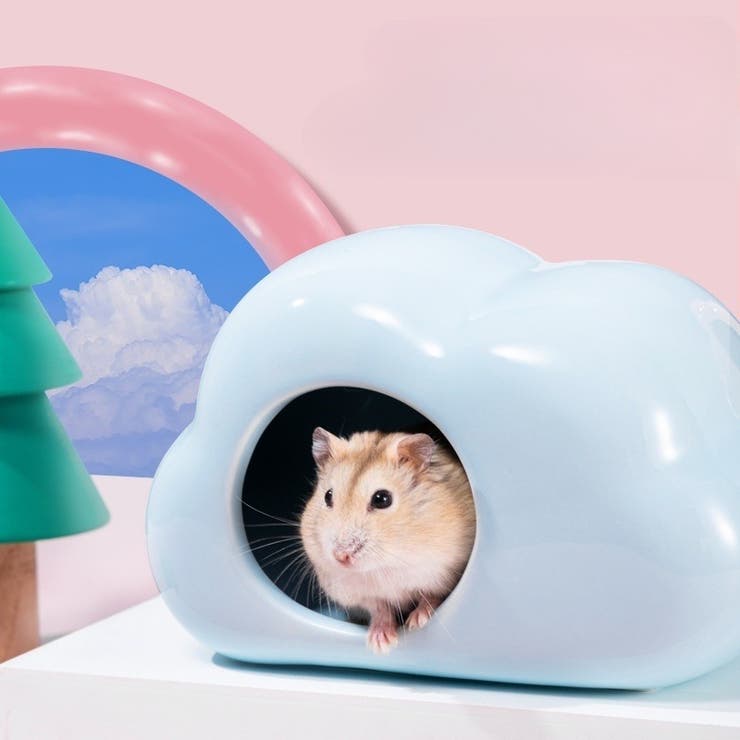セラミックハウス 小動物用品 ハムスター用 | PlusNao | 詳細画像5 