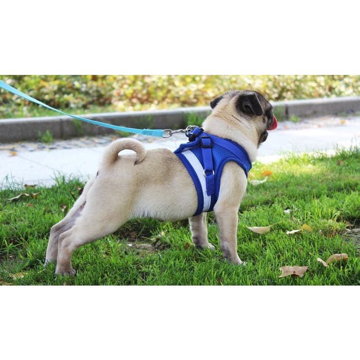 ハーネス リード 2点セット | PlusNao | 詳細画像3 