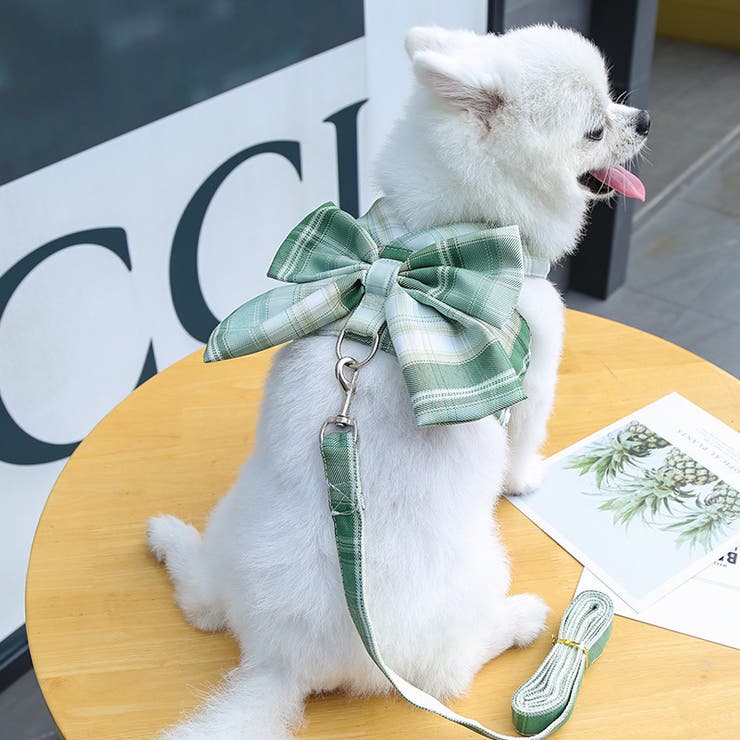 犬用ベスト ペットウェア ドッグウェア | PlusNao | 詳細画像4 