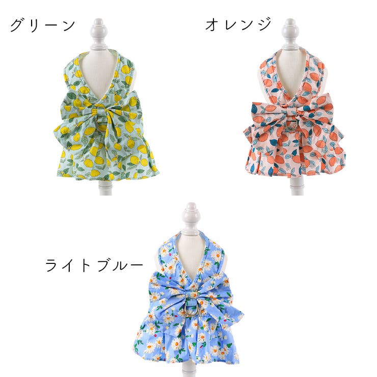 ハーネス リード 2点セット | PlusNao | 詳細画像15 