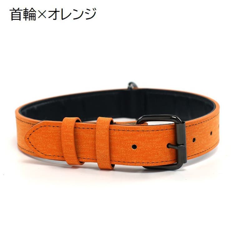 首輪 カラー 単品 | PlusNao | 詳細画像13 