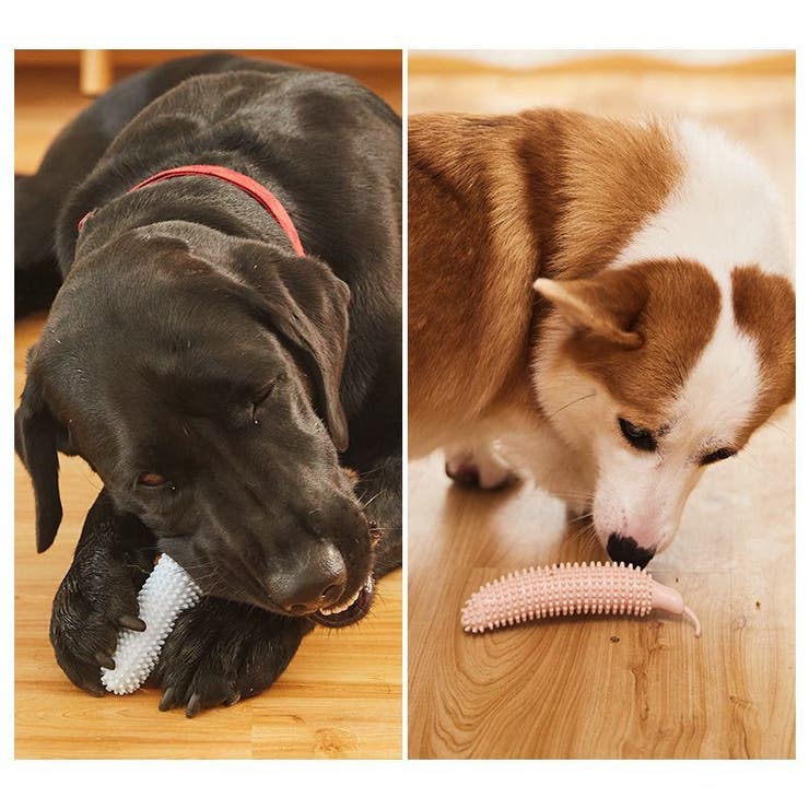 犬用おもちゃ 噛むオモチャ 噛んで歯磨き | PlusNao | 詳細画像3 