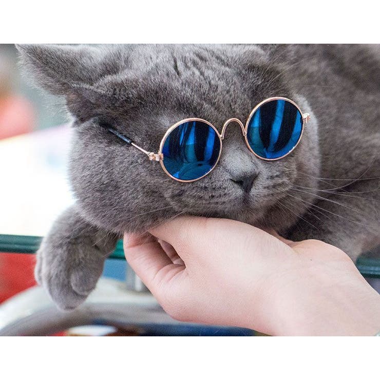 ペット用サングラス カラーレンズメガネ 猫 用 品番 Fq Plusnao プラスナオ のレディースファッション通販 Shoplist ショップリスト
