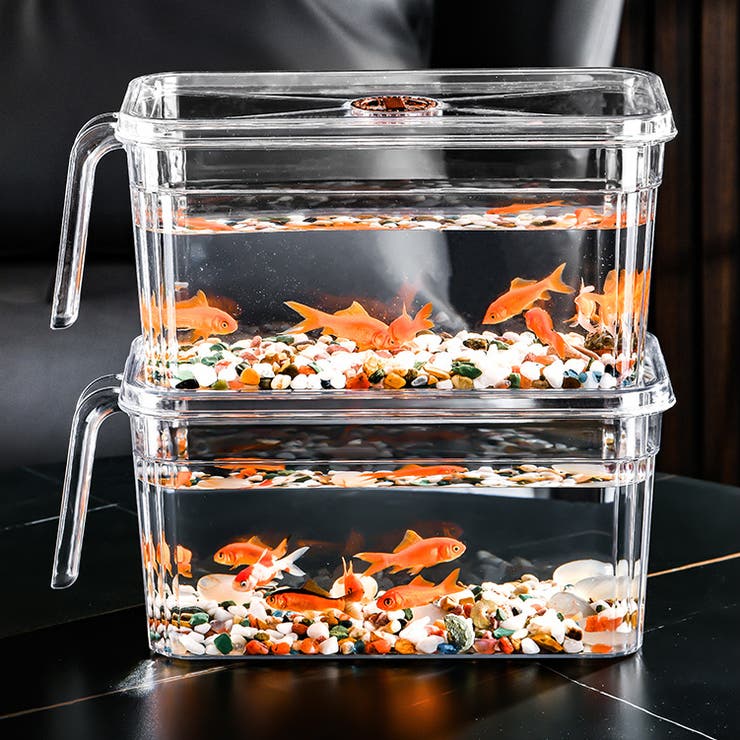 ミニ水槽 金魚鉢 単品 | PlusNao | 詳細画像10 
