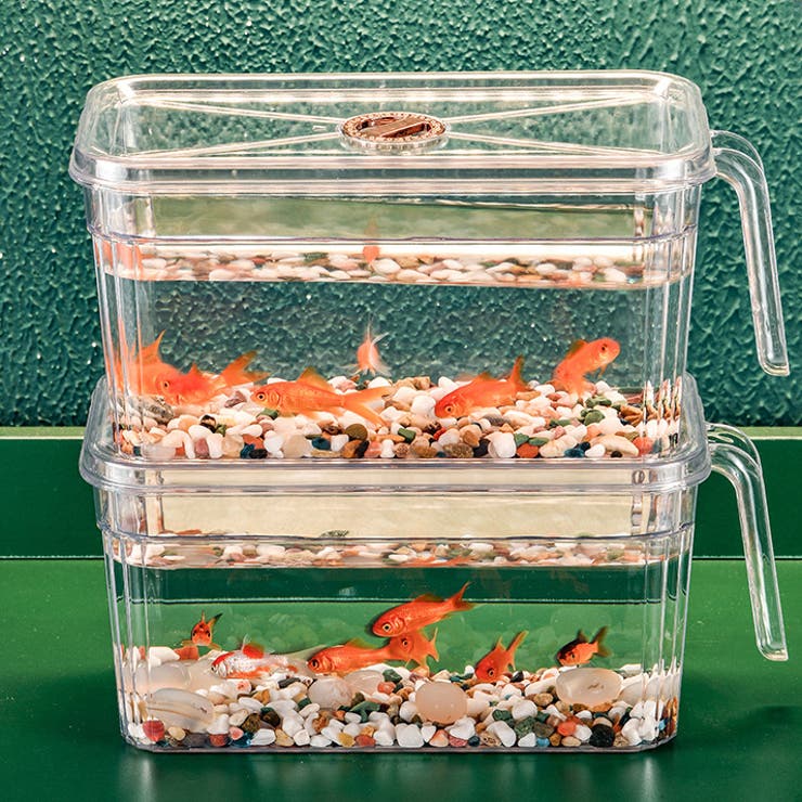 ミニ水槽 金魚鉢 単品 | PlusNao | 詳細画像15 