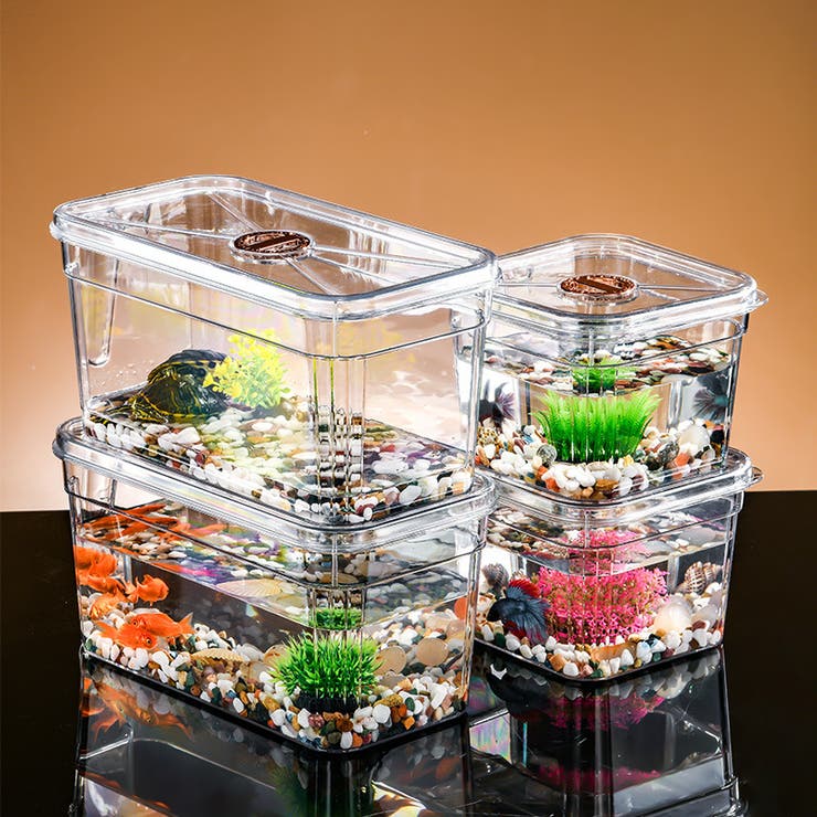 ミニ水槽 金魚鉢 単品 | PlusNao | 詳細画像3 