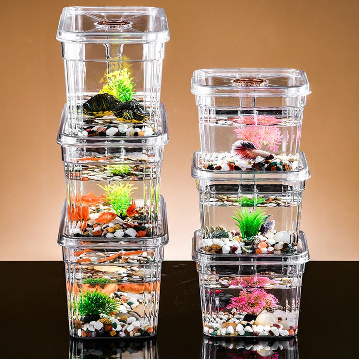 ミニ水槽 金魚鉢 単品 | PlusNao | 詳細画像6 
