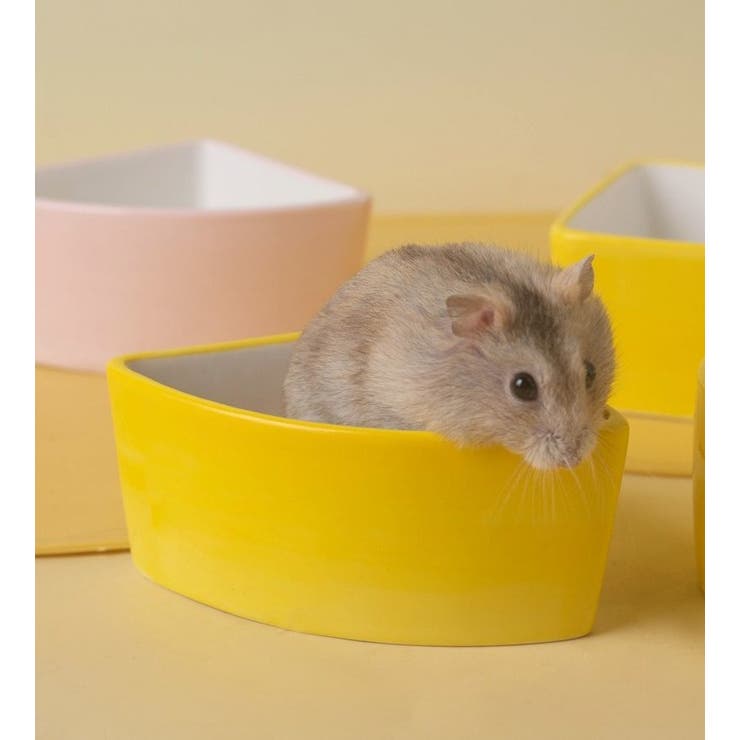 小動物用食器 フードボウル 置き型 | PlusNao | 詳細画像2 