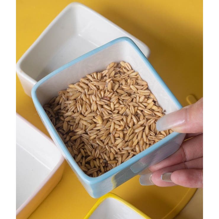 小動物用食器 フードボウル 置き型 | PlusNao | 詳細画像5 