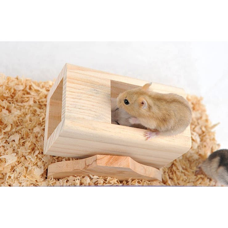 ハムスター用 おもちゃ シーソー | PlusNao | 詳細画像6 