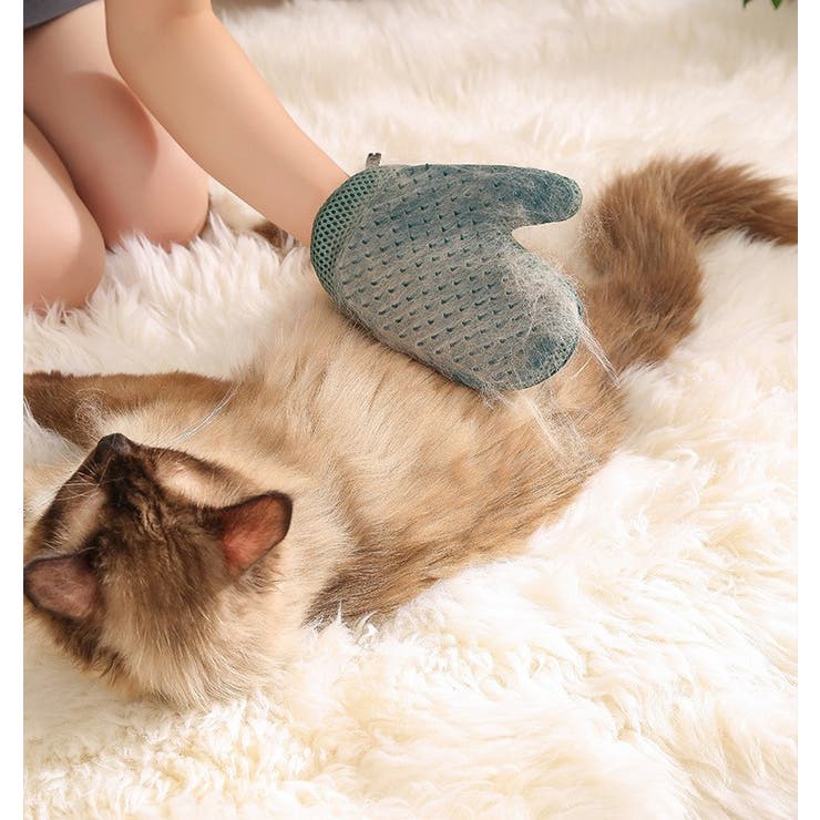 グルーミンググローブ 片手 1枚 | PlusNao | 詳細画像3