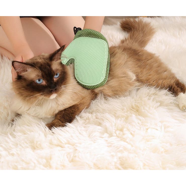 グルーミンググローブ 片手 1枚 | PlusNao | 詳細画像5