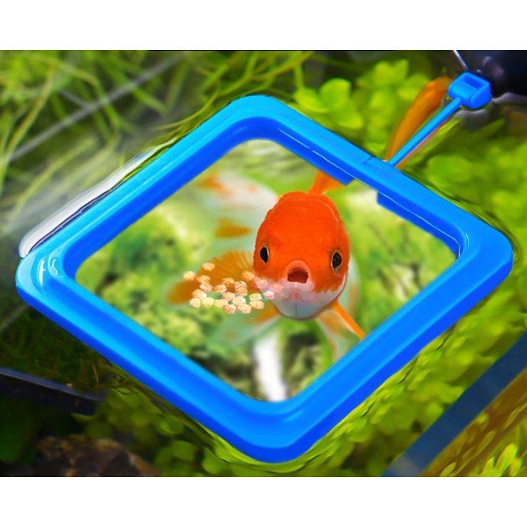 フィーダーカップ 魚用えさ皿 餌 入れ 品番 Fq Plusnao プラスナオ のレディースファッション通販 Shoplist ショップリスト