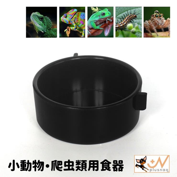 小動物用食器 爬虫類用品 両生類 | PlusNao | 詳細画像1 