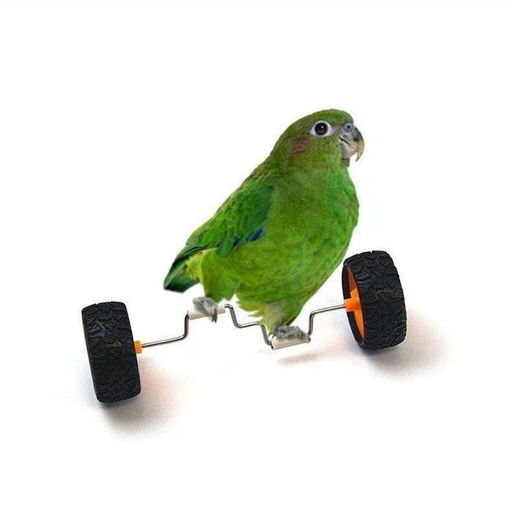 バードトイ 鳥おもちゃ 鳥の遊び場 | PlusNao | 詳細画像3 