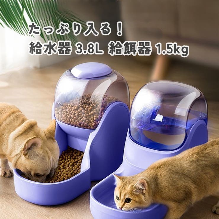 自動給餌器 自動給水器 犬用 | PlusNao | 詳細画像4 