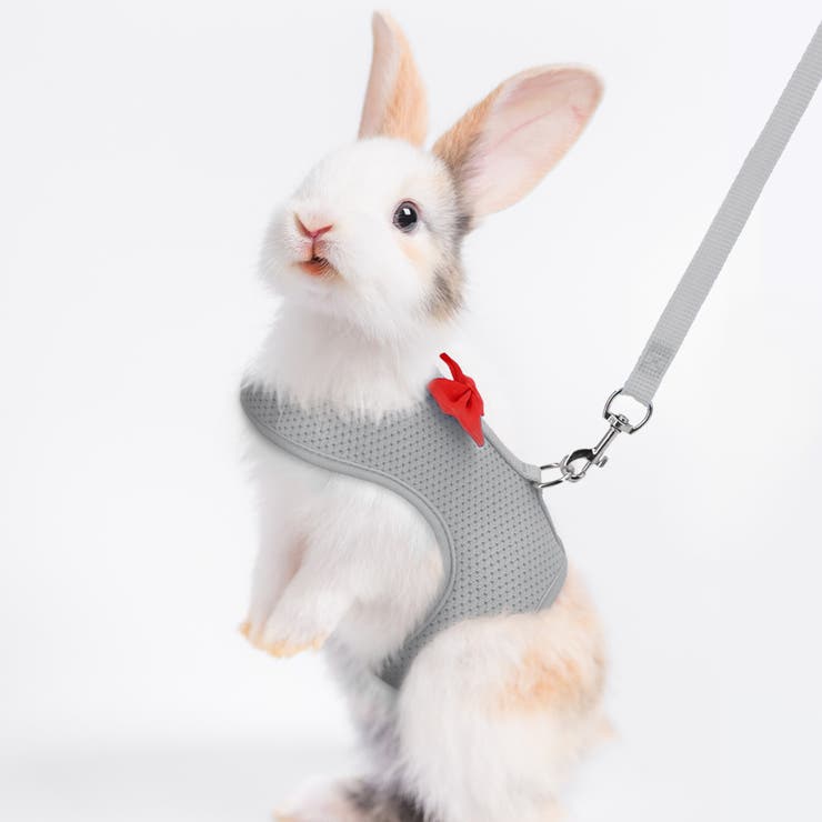 ペットウェア 小動物ハーネス リード | PlusNao | 詳細画像4 