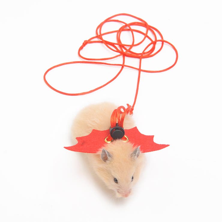 ハムスター用ハーネスリード ペット用品 小動物 | PlusNao | 詳細画像10 