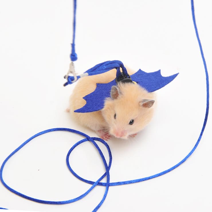 ハムスター用ハーネスリード ペット用品 小動物 | PlusNao | 詳細画像2 