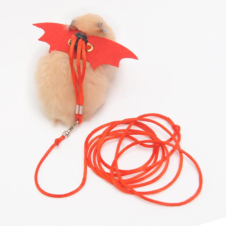 ハムスター用ハーネスリード ペット用品 小動物 | PlusNao | 詳細画像6 