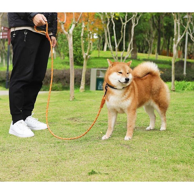 リード 反射材 犬用 | PlusNao | 詳細画像2 
