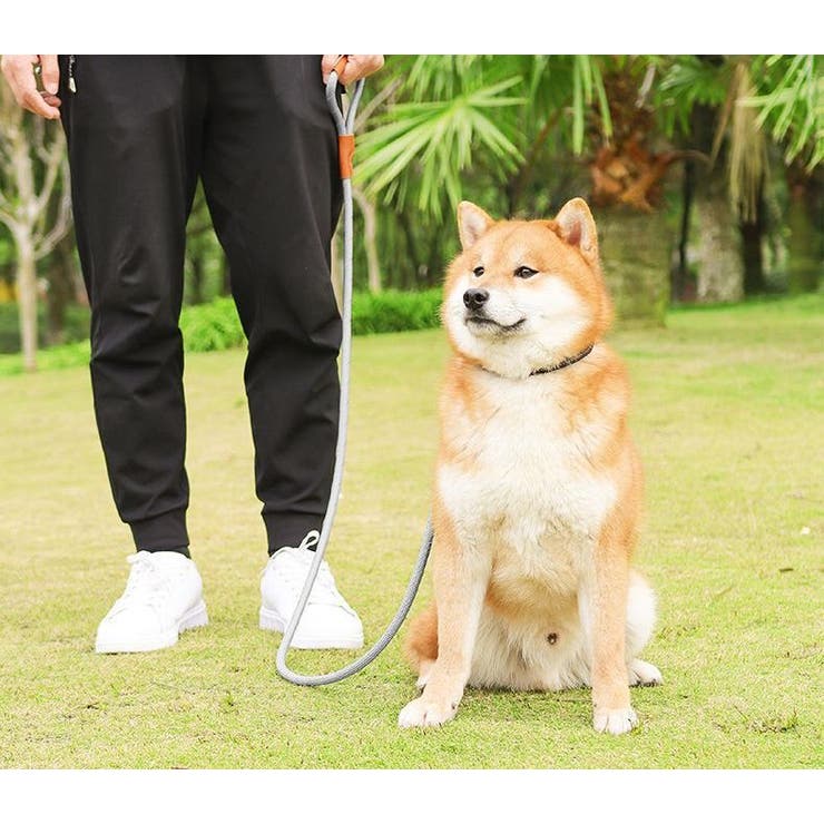 リード 反射材 犬用 | PlusNao | 詳細画像3 