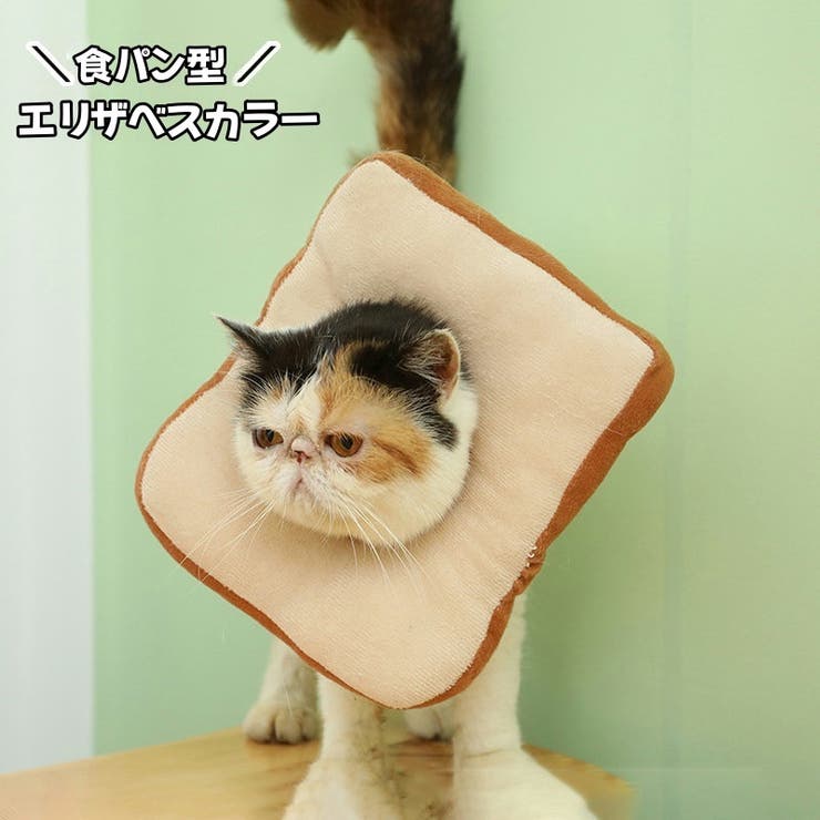 エリザベスカラー 猫用 犬用 | PlusNao | 詳細画像1 