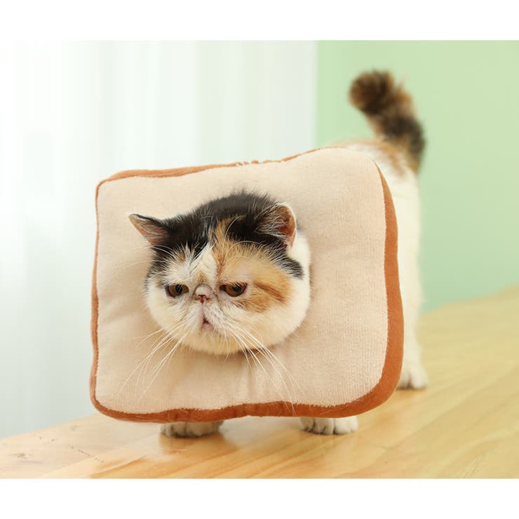 エリザベスカラー 猫用 犬用 | PlusNao | 詳細画像4 