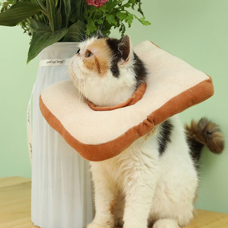 エリザベスカラー 猫用 犬用 | PlusNao | 詳細画像5 