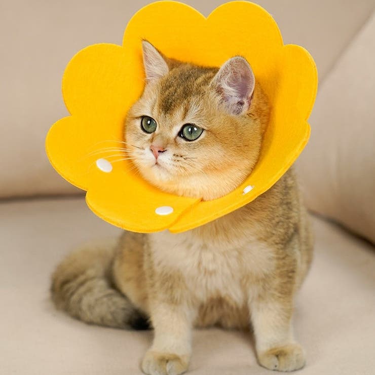 エリザベスカラー 猫 犬 | PlusNao | 詳細画像3 