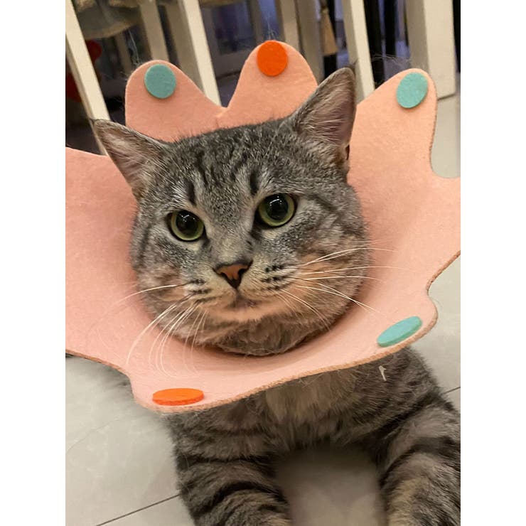 エリザベスカラー 猫 犬 | PlusNao | 詳細画像9 
