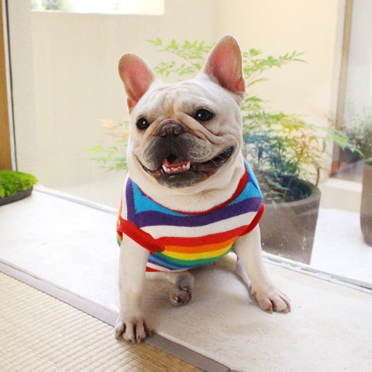 ドッグウエア ペットウエア タンクトップ | PlusNao | 詳細画像7 